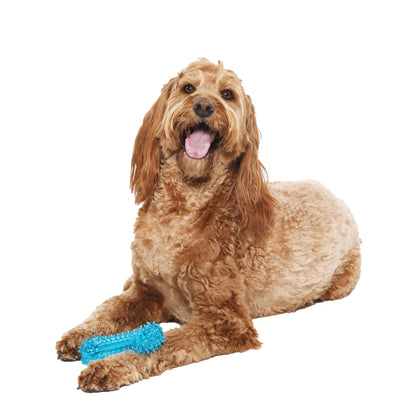 Fetch Buddy Spiky Blue Bone Dog Toy, Chew Level 3