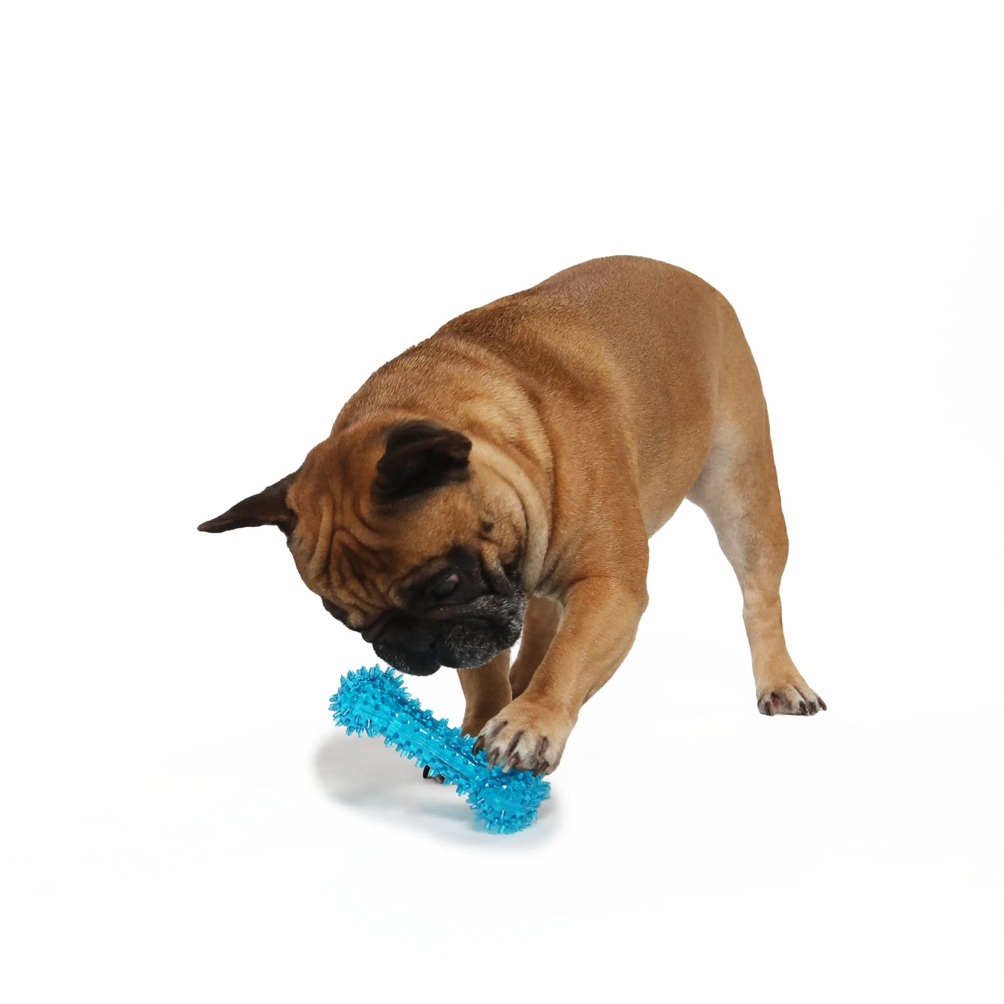 Fetch Buddy Spiky Blue Bone Dog Toy, Chew Level 3