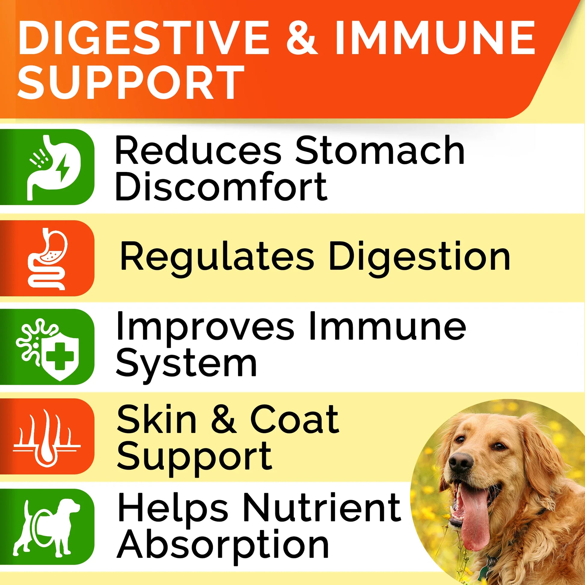 Probiotics Chews for Dogs & Digestive Enzymes + Digestion & Gut Health Treats, Probiotics for Dogs, Fiber Supplement, anti Diarrhea, Constipation, Upset Stomach&Gas Relief, Canine Prebiotic