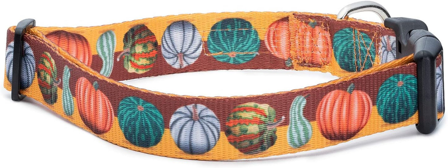 Halloween Dog Collar (Pumpkin Assortment, Large)