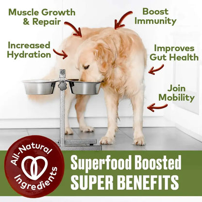 Mobility Support Beef Bone Broth for Dogs | Hip & Joint Support for Dogs | Glucosamine & Amino Acid Boosted | Human Grade Ingredients | Just Add Water | Made in USA