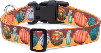 Halloween Dog Collar (Pumpkin Assortment, Large)