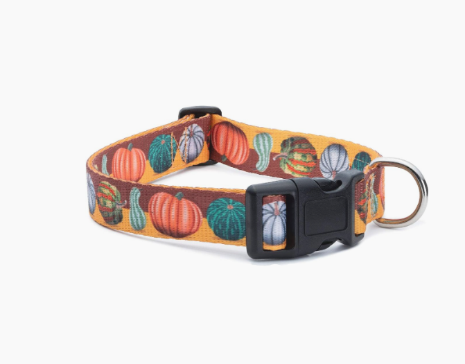 Halloween Dog Collar (Pumpkin Assortment, Large)